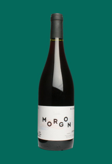 Kevin Descombes Morgon 2019 quel.vin